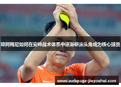 琼阿梅尼如何在安帅战术体系中逐渐崭露头角成为核心球员 琼阿梅尼如何在安帅战术体系中逐渐崭露头角成为核心球员